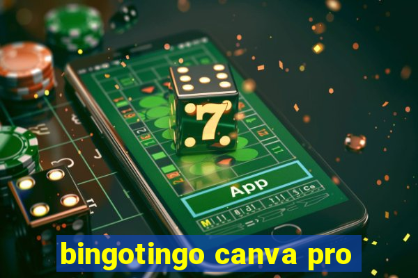 bingotingo canva pro